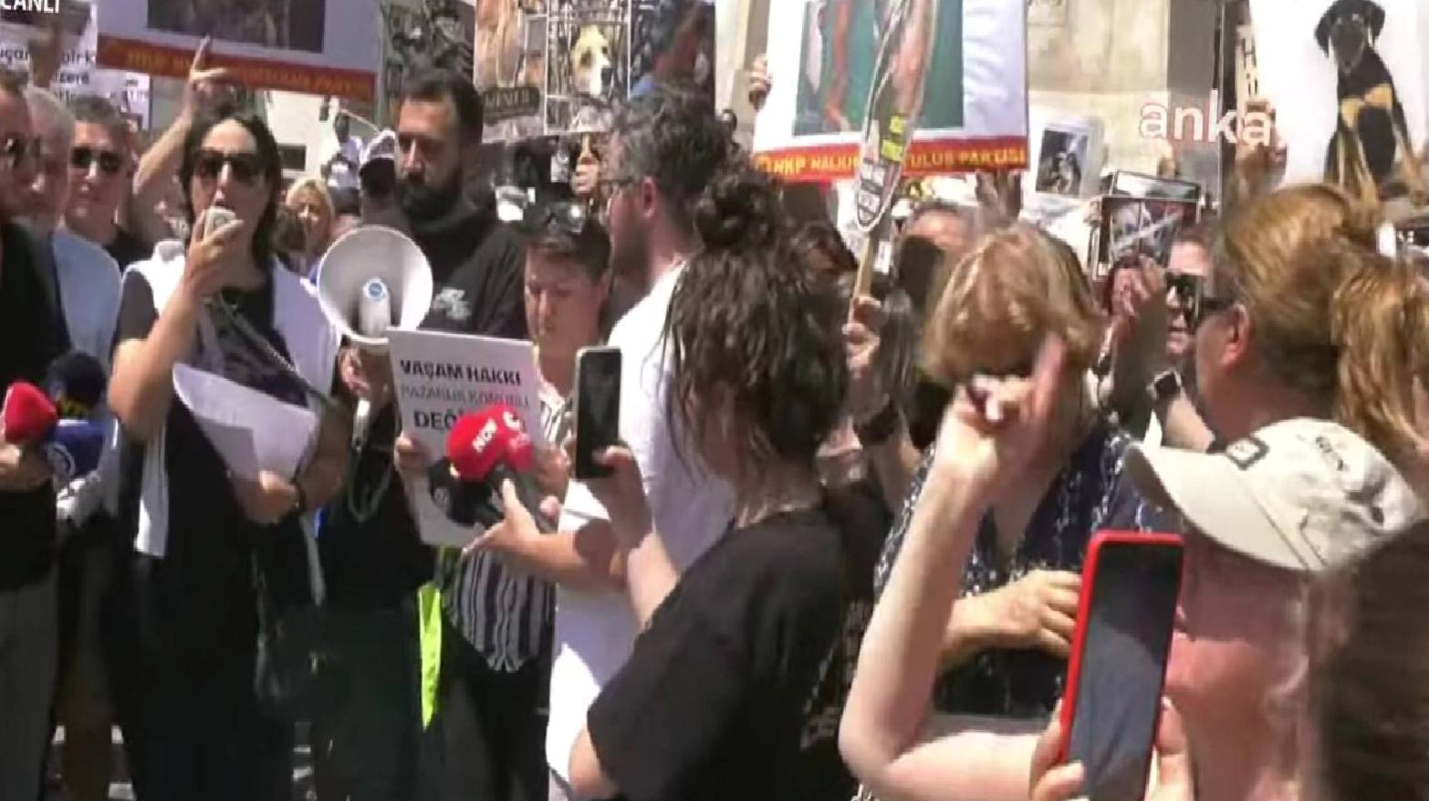 AKP’nin sokak hayvanları tasarısına karşı onlarca insan sokakta; “Tarih sizi yargılayacak, andımız olsun ki bu hayvanları öldürtmeyeceğiz!”