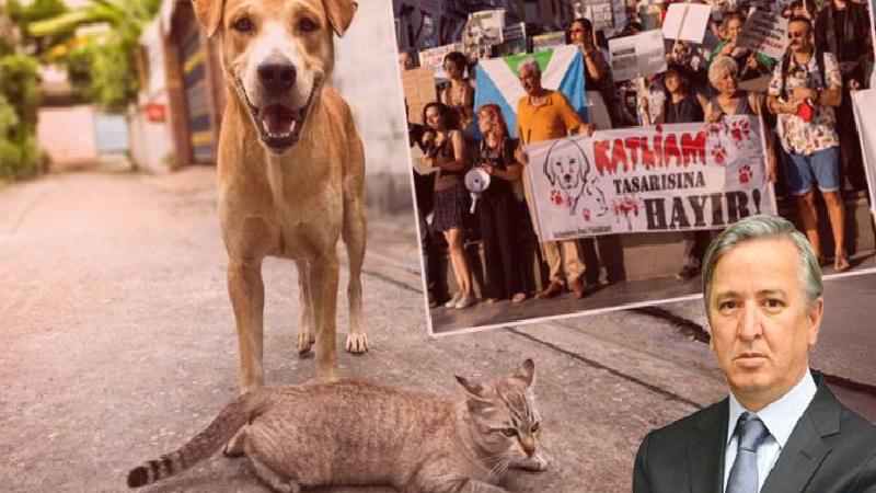 Erdoğan’ın eski metin yazarı Aydın Ünal, AKP’yi uyardı: Sokak hayvanları yasası teste dönüştü, grubu sıkı tutun