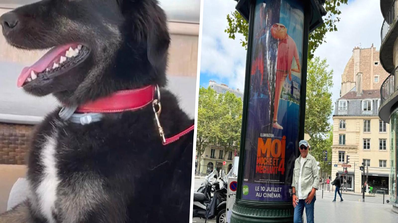 Ertuğrul Özkök: CHP’li belediyelere hayvan öldürecek kayyımlar mı tayin edeceksiniz?