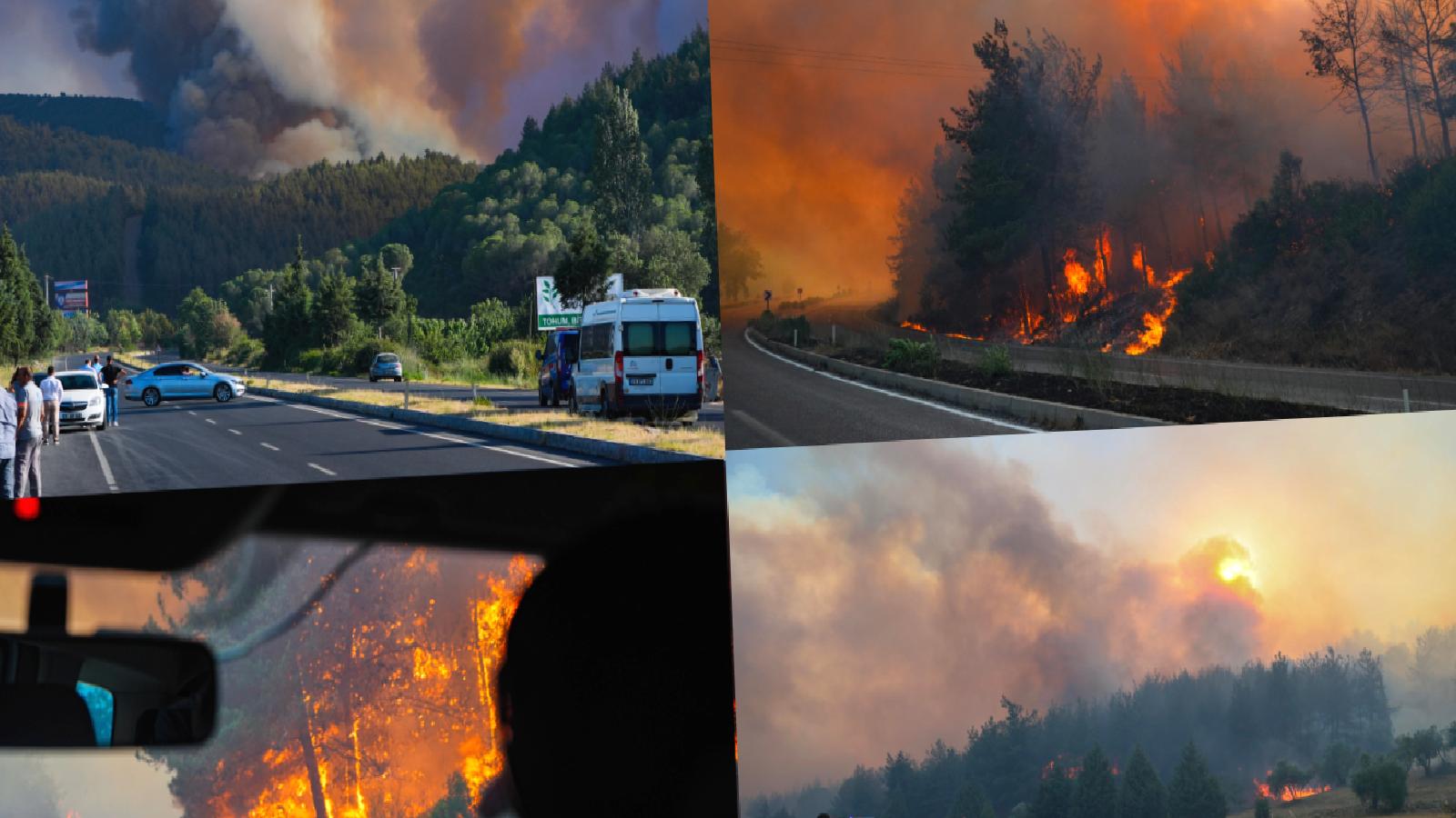 Orman yangınlarına önlem olacak projelerin ihaleleri “tasarruf” gerekçesiyle iptal edilmiş