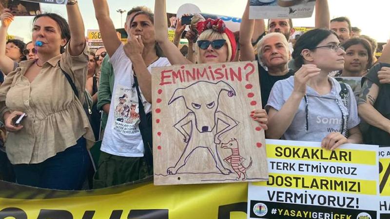 “Ötanazi” tartışmalarına neden olan sokak hayvanları yasa tasarısı Melcis’te