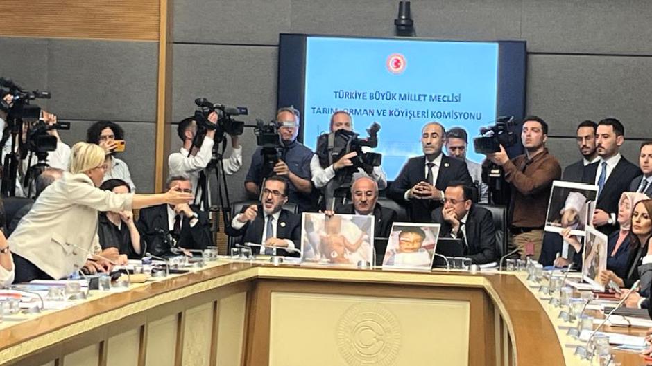 Sokak hayvanları yasa teklifi: Görüşmeler kavgalı başladı