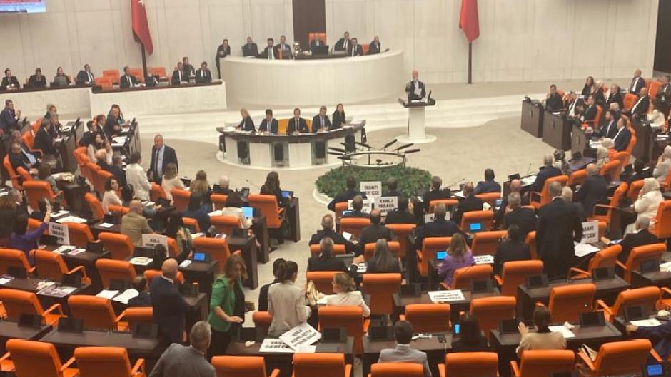 Sokak köpeklerine “ötanazi” yolunu açan madde TBMM’den geçti