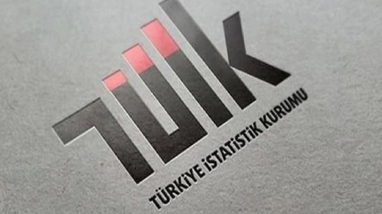 TÜİK: Haziran ayı yurt dışı üretici fiyat endeksi arttı