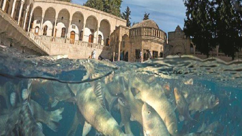 Valilik duyurdu: Şanlıurfa’da suya girmek yasaklandı