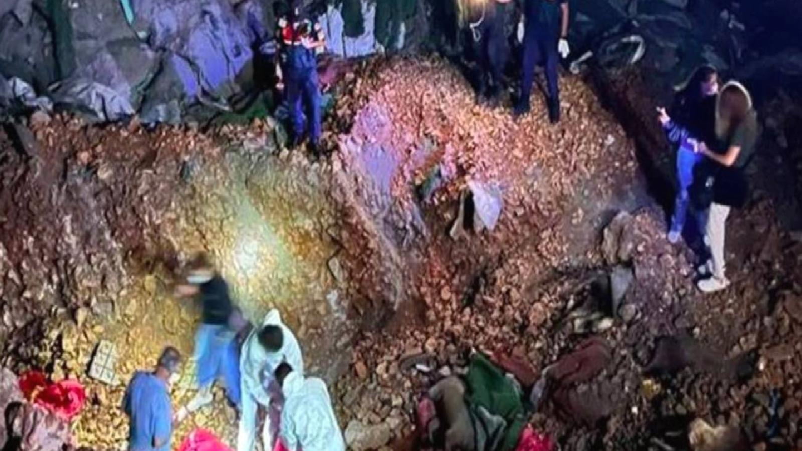 Altındağ’da bulunan köpek cesetlerine yönelik yürütülen soruşturmada ifadesi alınan Veteriner İşleri Müdürü, hayvan hakları savunucularını suçladı