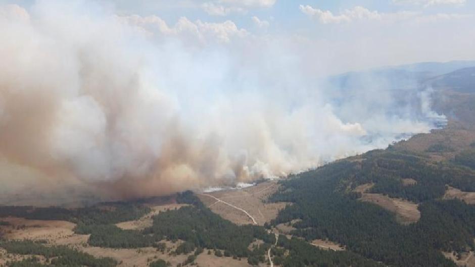 Ankara’daki orman yangını Bolu’ya sıçradı