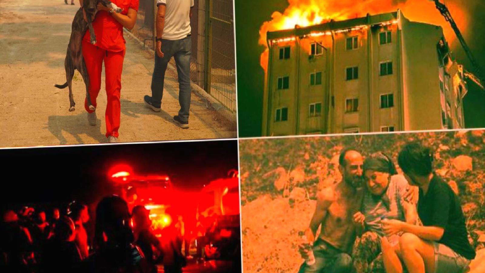 Cemil Tugay: İzmir’de havadan söndürme yetersizdi, “Buraya müdahale etmezseniz tehlikeli hale gelebilir” dememize rağmen müdahale edilmedi