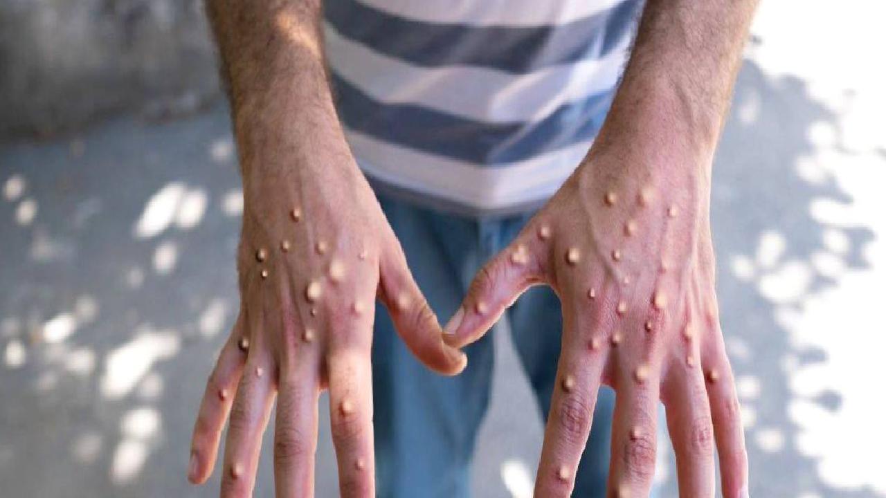 M çiçeğinin en çok görüldüğü ülke Kongo’ya giden turist sayısında artış