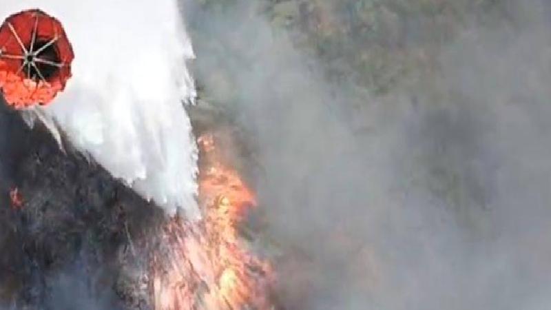 OGM, orman yangınları için “gerekli” bulduğu helikopter ve uçaklar almamış