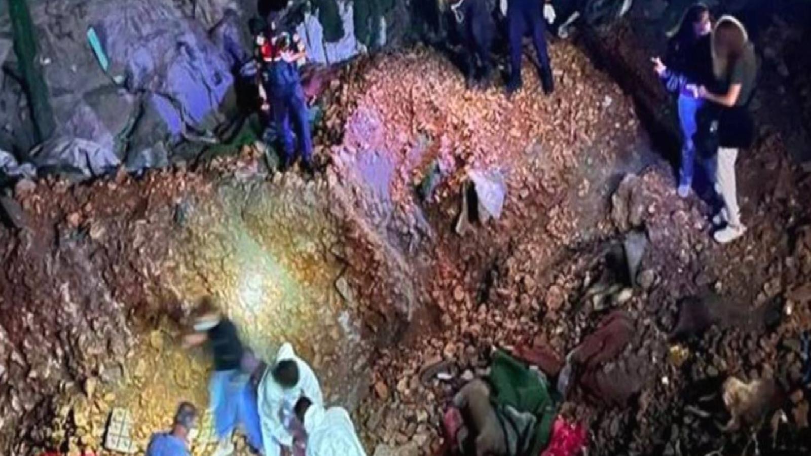 Sözcü yazarı: Katillik damarı varmış, uykudaymış, hortladı, köpek katliamı başladı!