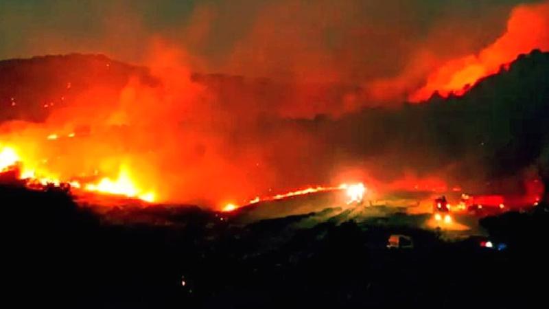Yangınların sebebi piknik ateşi ve sigara: 2’si çocuk 6 kişi gözaltında, 3 kişi aranıyor