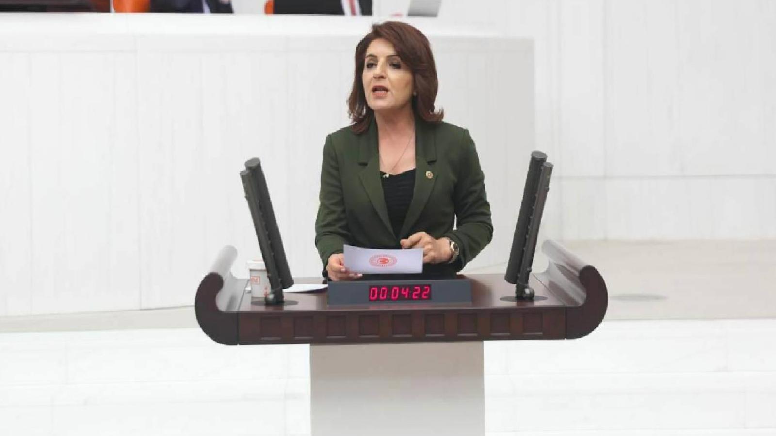 CHP’li Gülcan Kış: Bakanlığın açıkladığı rakamlar yoksulluğun itirafı