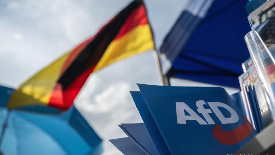 Almanya’da olası bir erken seçim AfD’ye mi yarar?