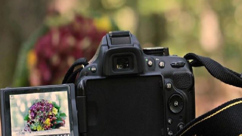 Getty Images ve Shutterstock’tan 3,7 milyar dolarlık birleşme