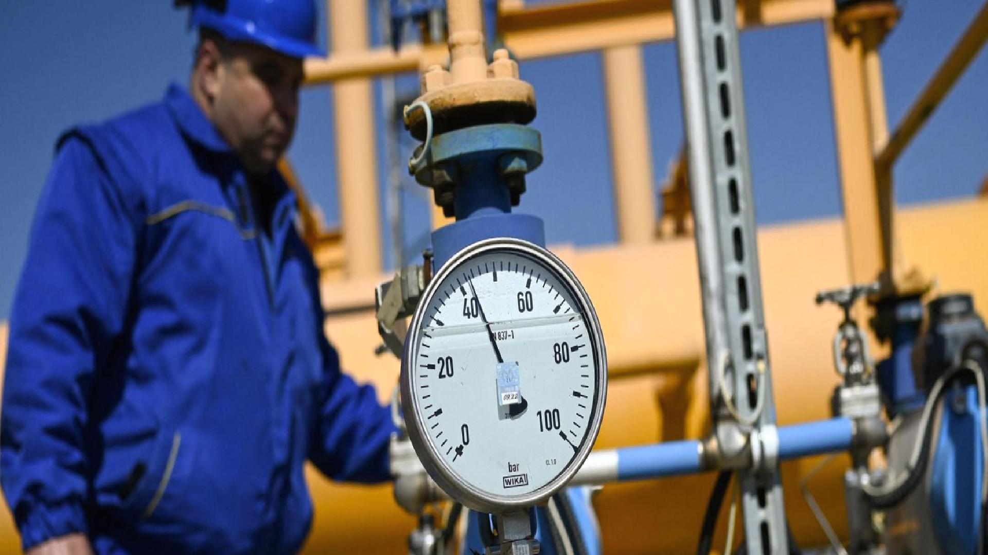 ‘Ukrayna depolama tesislerindeki kritik seviye nedeniyle gaz ithalatına başladı’