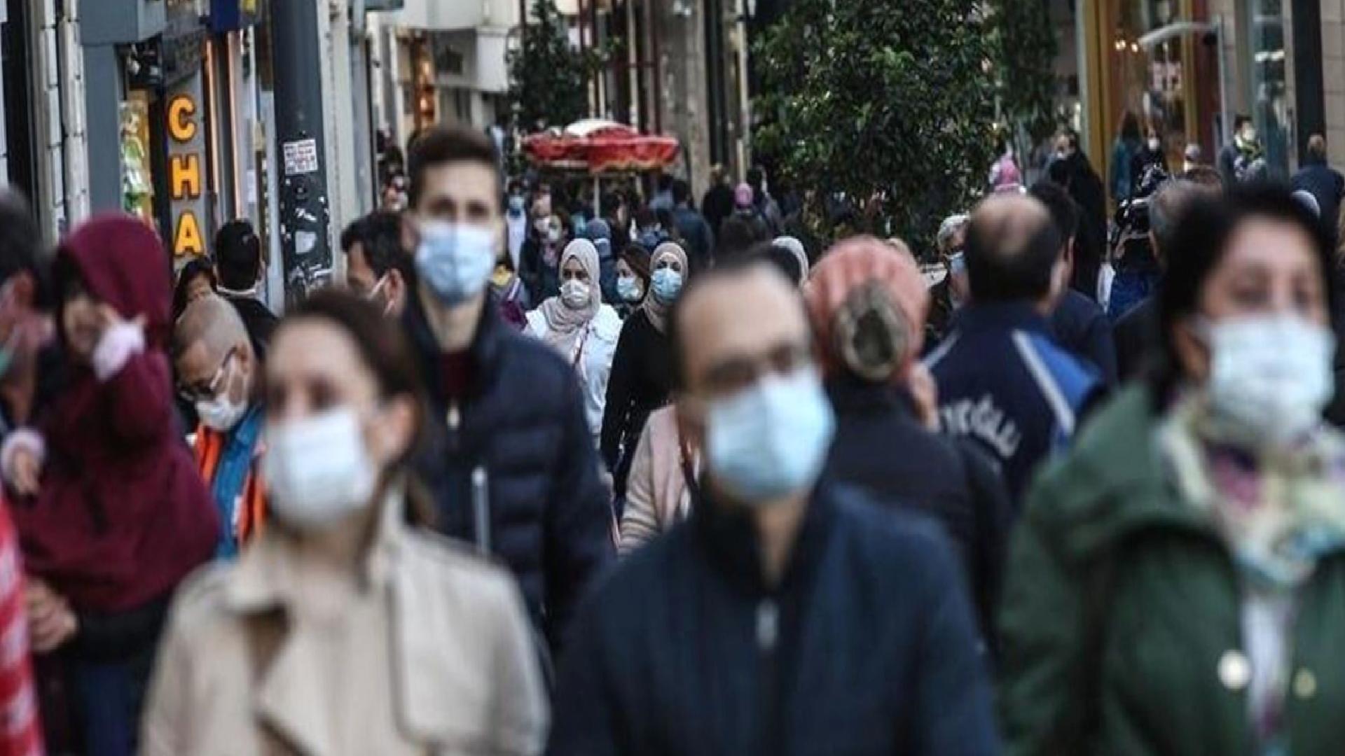 Çin’de insanlara bulaşabilen yeni bir yarasa koronavirüsü tespit edildi