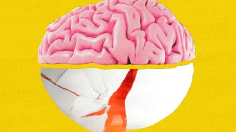 ‘Beyin besini’ kolinin neden gözardı edildiği düşünülüyor?