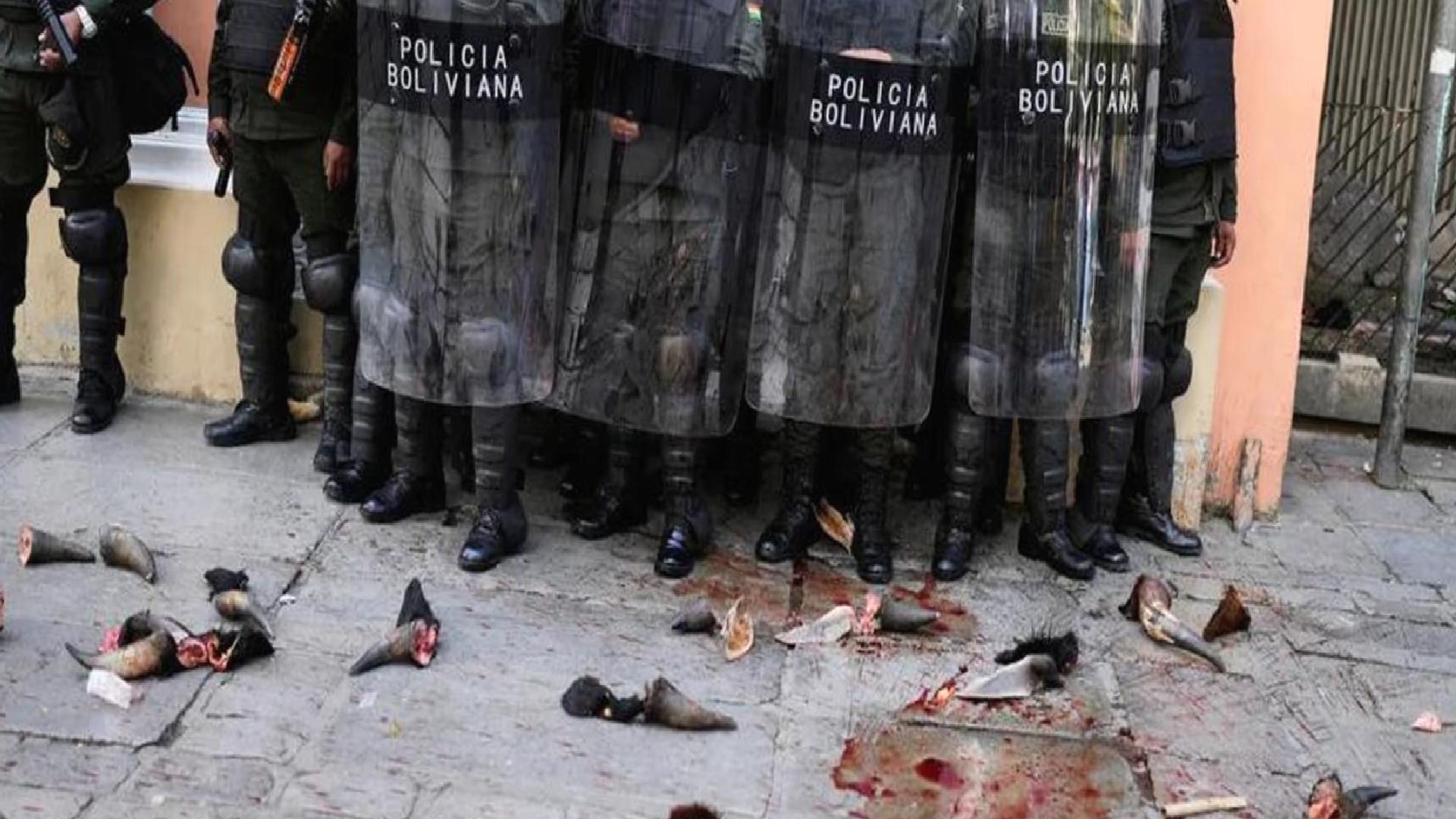 Bolivya’da kasaplar et fiyatlarına isyan etti: Eylemciler, polise inek boynuzu ve bağırsak attı
