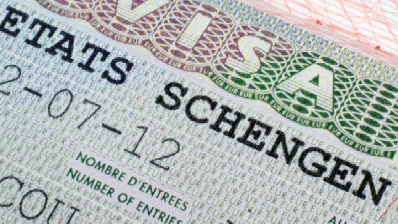 AP Türkiye Raportörü Amor: Türk öğrencilerin burs alıp vize alamaması çok sinir bozucu; Türk vatandaşları haklı