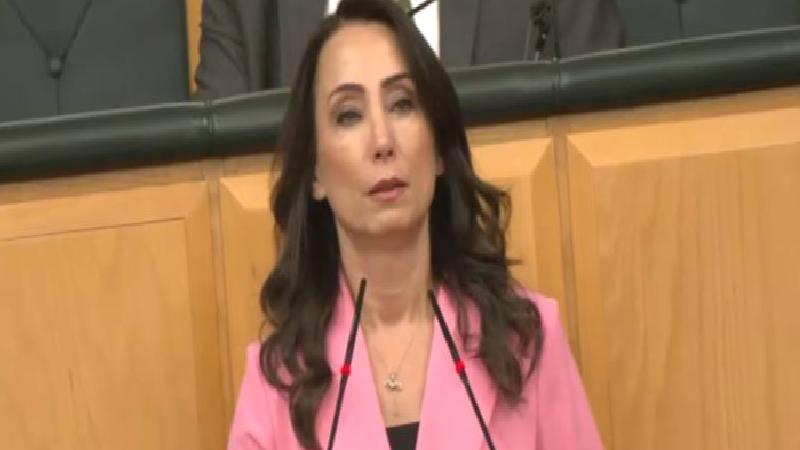 DEM Parti TBMM Grup Toplantısı