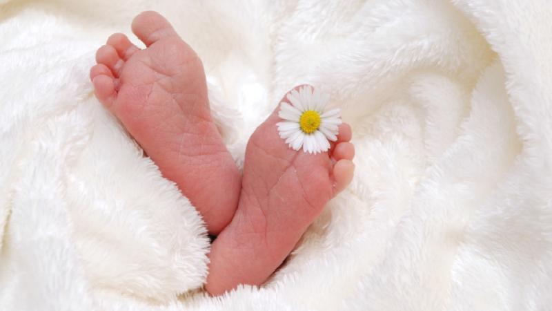 BirGün yazarı Fırat: Süt izni kullanırken işten çıkarılırsam ne yapmalıyım?