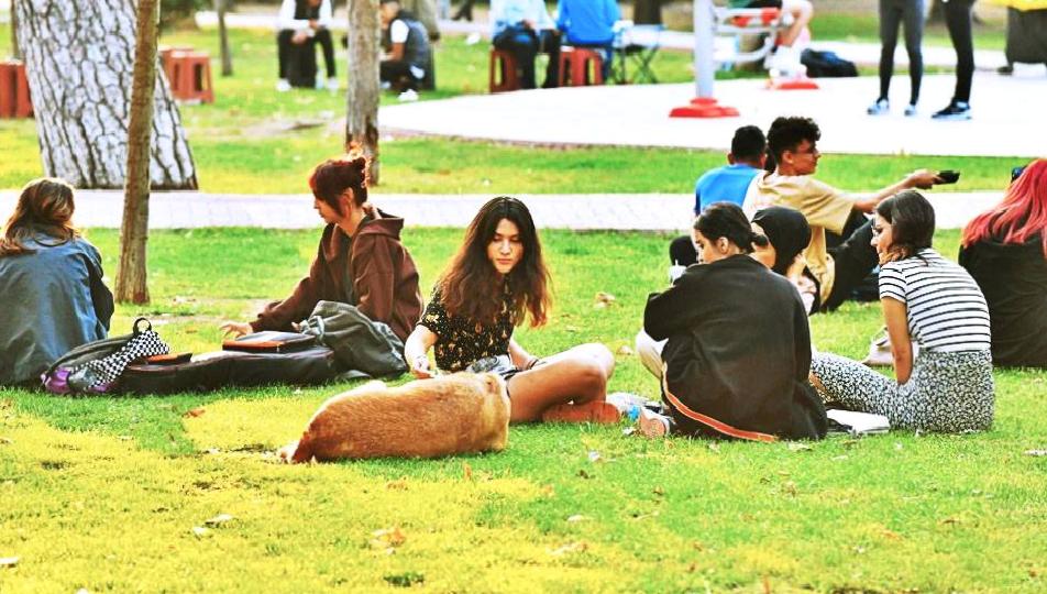 Karar Resmi Gazete’de: İktidar “sağlık merkezi yapacağız” diyerek şehirlerdeki parkları inşaata açtı