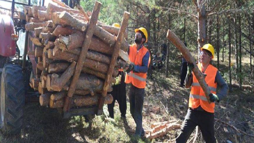 Orman-İş Sendikası: TİS görüşmesi 15-20 güne kadar bitmezse grev kararı almak durumundayız