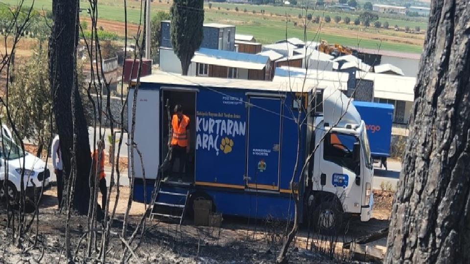 Anadolu Sigorta’dan kurtaran işbiriliği