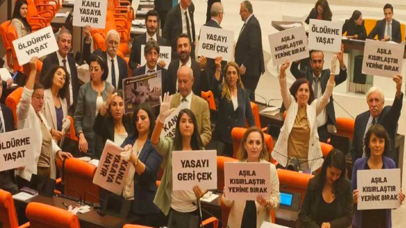 Hayvan haklarında cezasızlık tartışması; “Failler cesaretlendiriliyor”