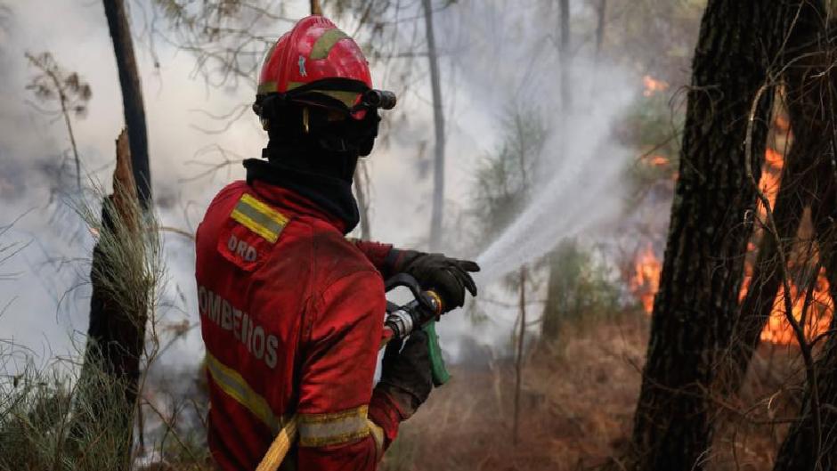 Orman yangınları: Portekiz AB’den yardım istedi