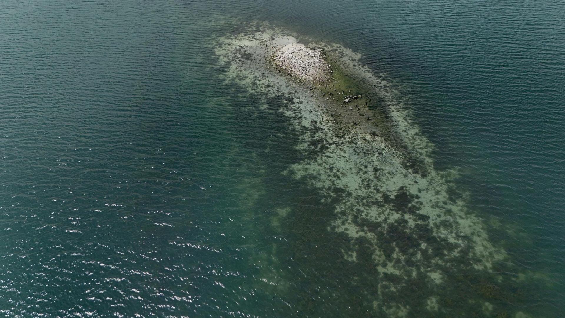 Sapanca Gölü’nde kritik 10 santimetre: Düşüş devam ederse su tüketimleri takip edilecek