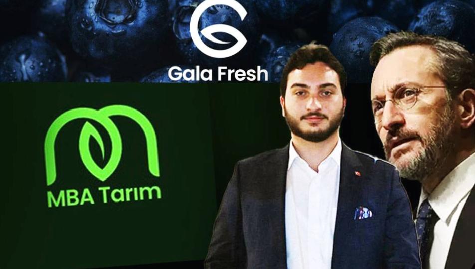 Timur Soykan: Fahrettin Altun’un oğlu, 500 bin TL’lik sermayesini 3 yılda 210 milyon TL’ye çıkardı; şirketine imtiyaz tanındı mı?