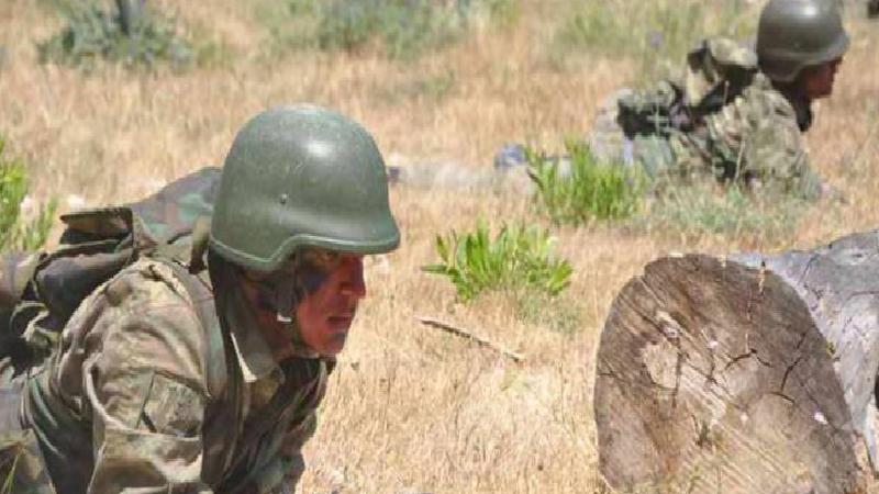 Yeni Şafak: Türkiye, Suriye askerine komando ve piyade eğitimi verecek