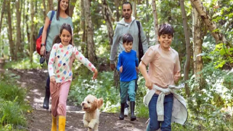 20 dakika bile yeter: Doğada olmanın vücuda dört faydası