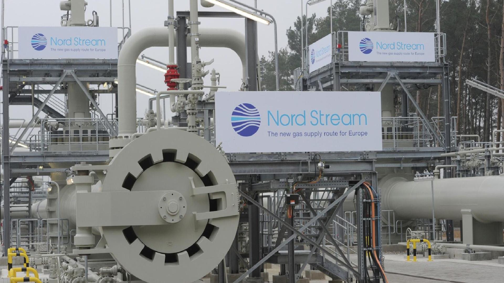 Polonya, Kuzey Akım saldırılarının zanlısını Almanya’ya vermeyi reddetti