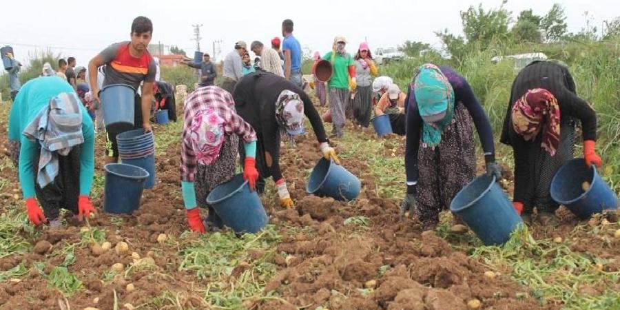 Hükûmet, ‘köye dönüş’ için harekete geçti: Nüfus azlığı alarm veriyor, teşvik paketi oluşturulacak