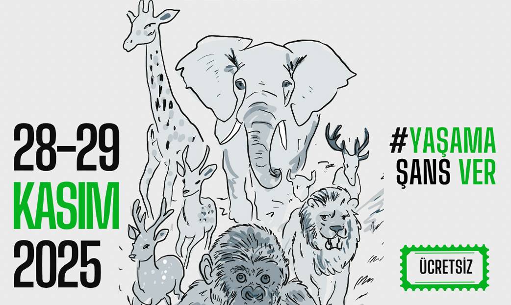 İstanbul Vegfest 28-29 Kasım’da düzenleniyor: Odağında kapsayıcılık ve hayvan hakları var