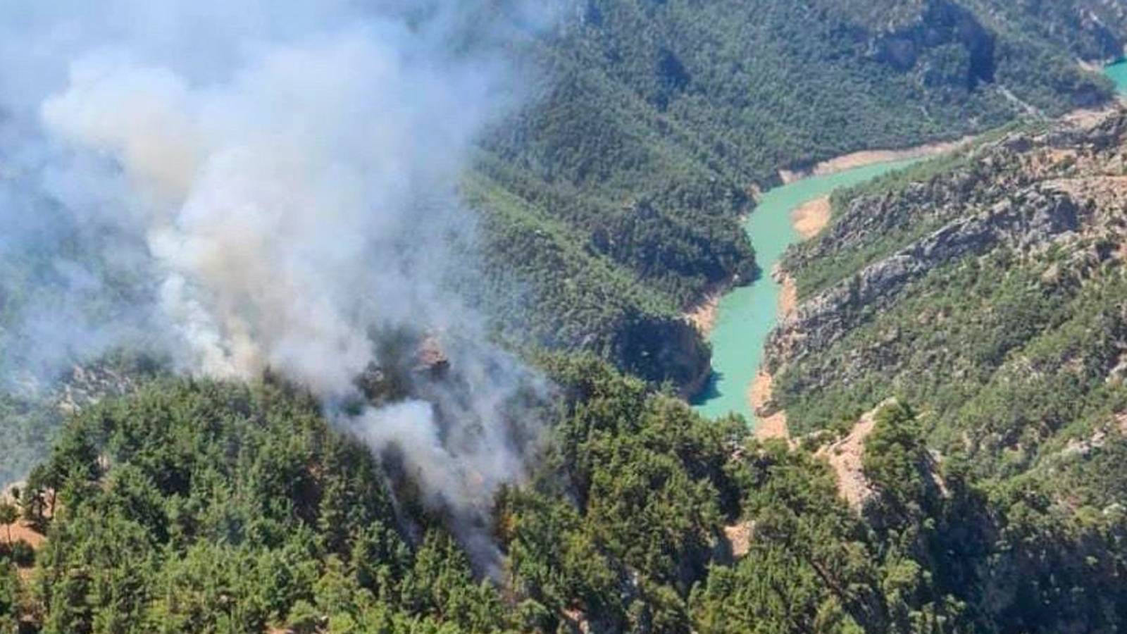 250 metrekarelik ormanlık alan yanmıştı: Kundaklayan kişi için en az 10 yıl hapis talebi