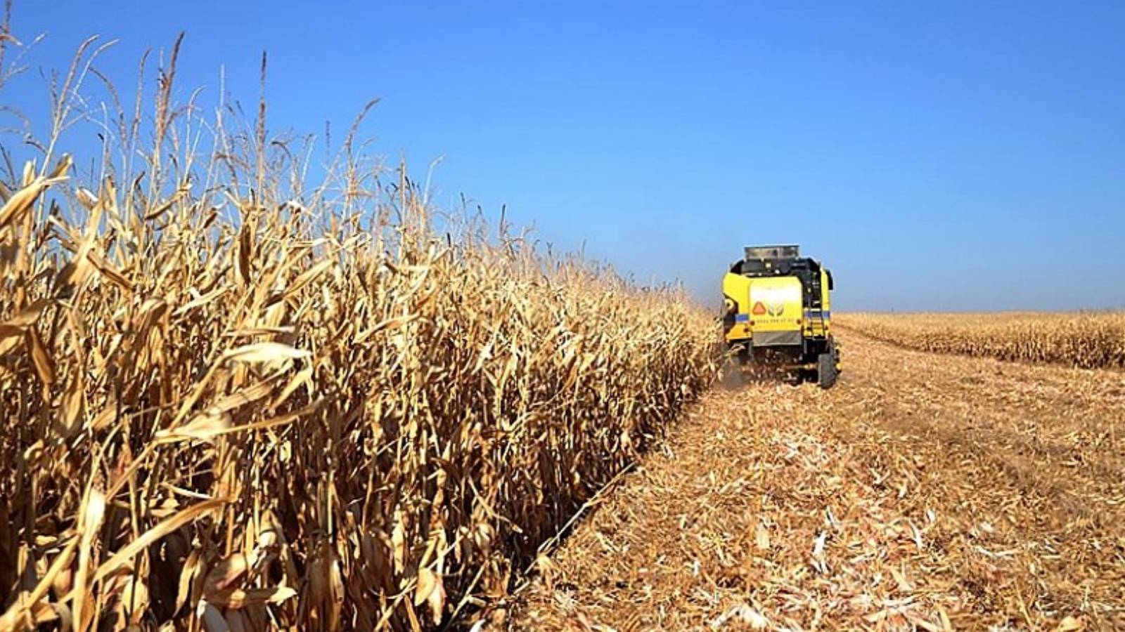 Zafer Partisi Tarım Politikaları Başkanı Babaözü: Çiftçiler artık Ziraat Bankası ve Tarım Kredi Kooperatifi’nden kredi kullanamayacak
