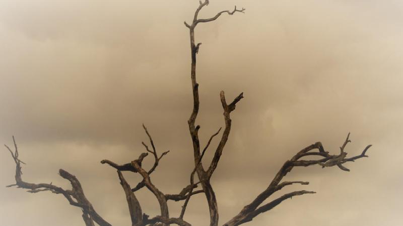 Uzmanı uyardı: İstanbul ve Marmara için ‘çöl tozu’ alarmı!