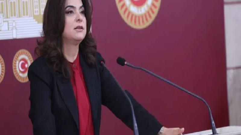 DEM Parti Grup Başkanvekili Koçyiğit: İktidar elini çabuk tutmalı, barış yasaları hızlı bir şekilde Meclis’e getirilmeli