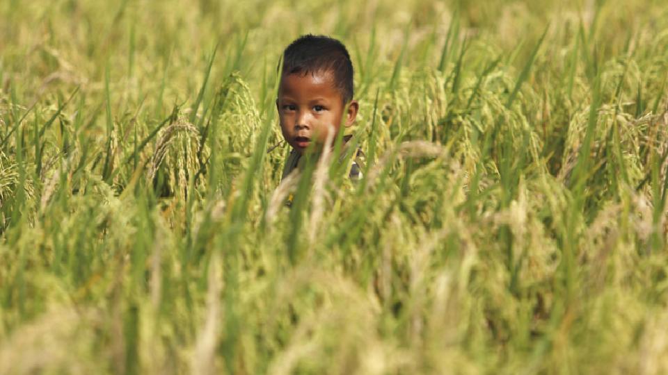 FAO: İran savaşı enerji ve gübre şokunu küresel gıda zincirine taşıdı