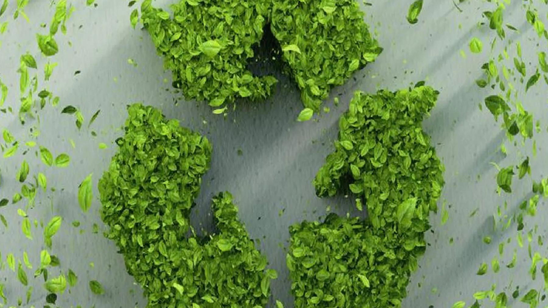 İklim Adaleti Koalisyonu: Sıfır atık üretim ve tüketim düzenine itiraz meselesidir