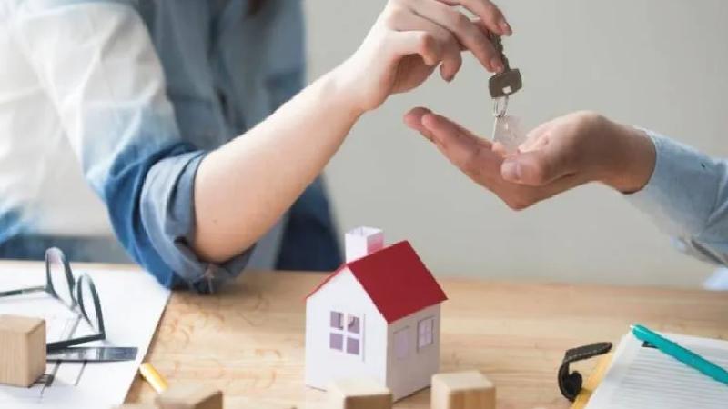 Sazan sarmalı yöntemiyle milyonluk vurgun: Gerçek, tapuda ortaya çıktı!