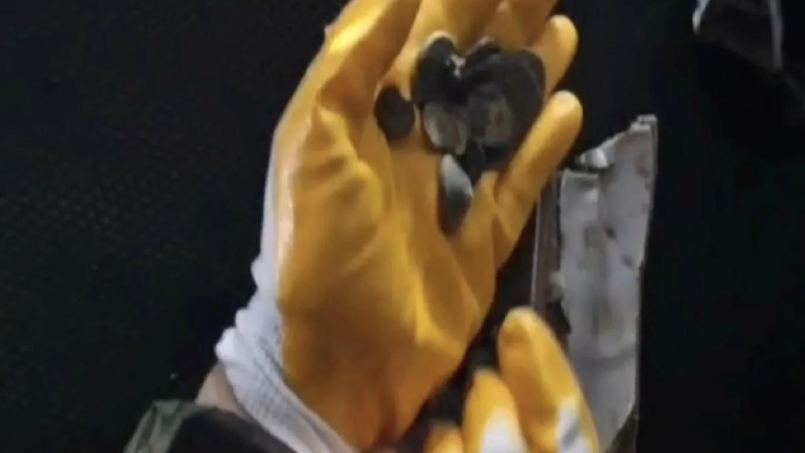 Türkiye’nin tarihi eserleri, İtalya’ya kaçırılacakken Çeşme Limanı’nda yakalandı