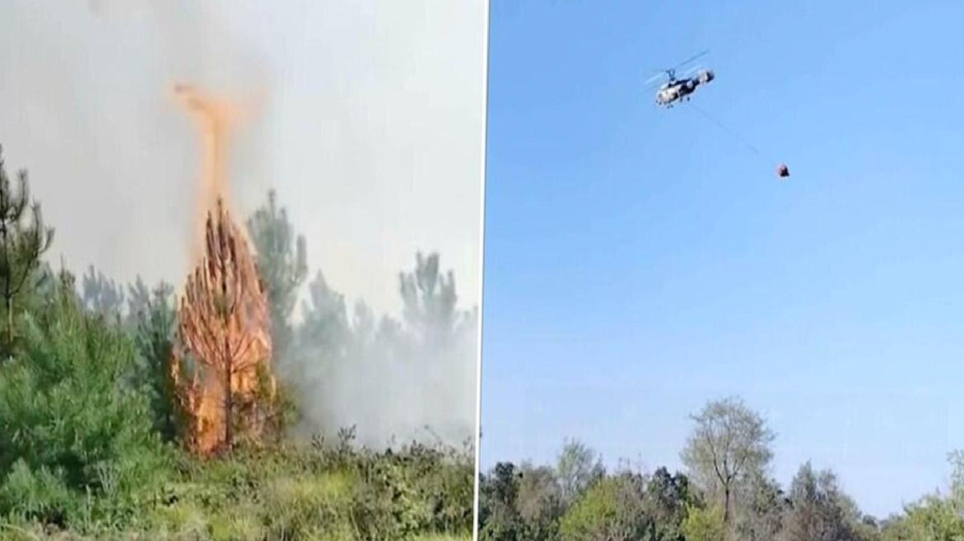 Beykoz’da orman yangını: Ekipler müdahale ediyor