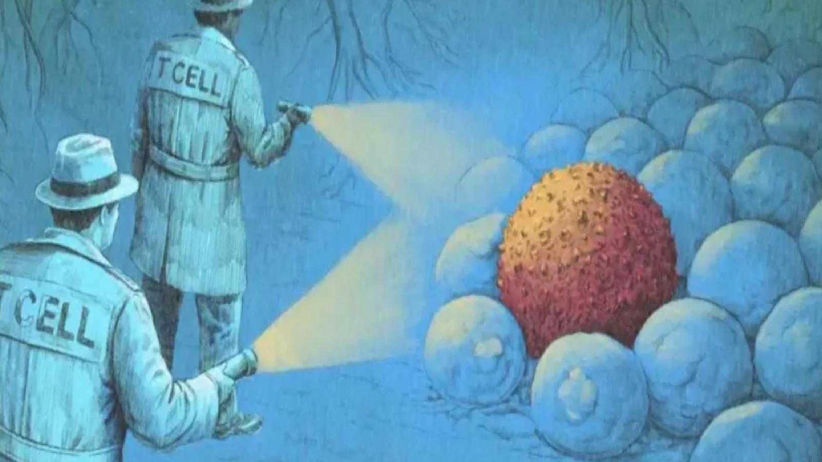 ‘Bilim kurgu gibi’: Yeni bağışıklık sistemi tedavileri kanserle nasıl savaşıyor?