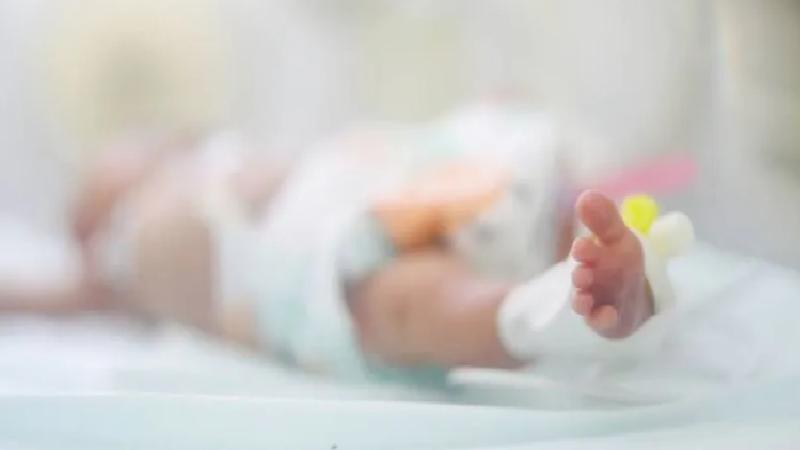 Cerrahpaşa’dan ‘Yenidoğan Çetesi’ davasında Kaya bebek için de ‘ihmal yok’ raporu: Ölümü kaçınılmazdı