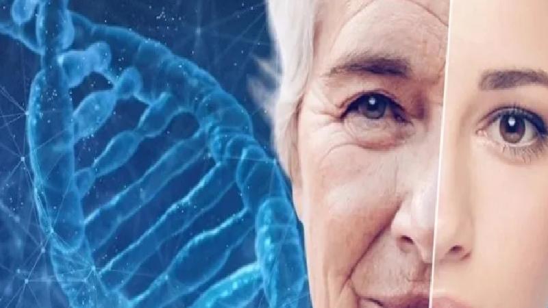 Rusya, hücresel yaşlanmaya karşı aşı geliştiriyor